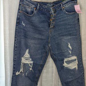 Wild Fable Women's High Rise Ankle Jeans, 16, NWT